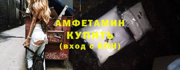 мет Ельня