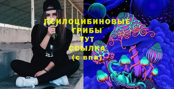 мет Ельня