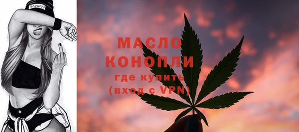 мет Ельня