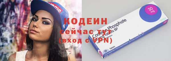 мет Ельня