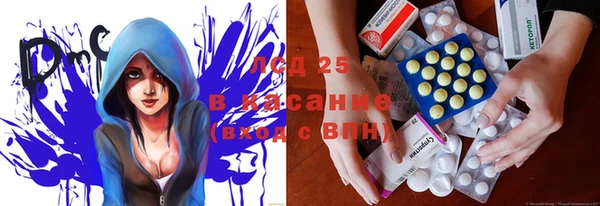 мет Ельня
